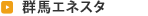 群馬エネスタ