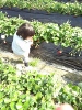 20140523.jpg