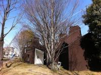 休日に栃木県小山市まで足を伸ばし、森の中