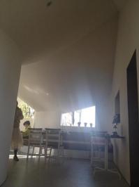 0419-4.jpg