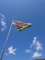0621-3.jpg