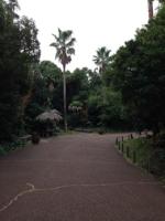 20131122-4.jpg