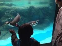 20131122-6.jpg