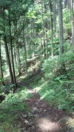 kumanokodou (450x800).jpg