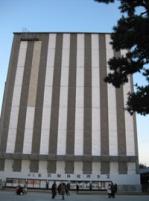 0131-3.jpg