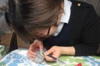 20140404-3.jpg
