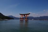 20140606- (2) (800x533).jpg
