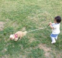 先日、近くの公園に家族で遊びに行ってきま