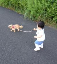 20140711-2.jpg