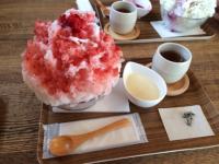 先日休みの日に念願かなって気になっていた