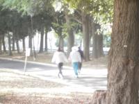 11月で還暦を迎えました。ここ近年、足腰