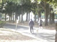 20141205-4.JPG