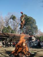 自宅近くの勝淵（かつぶち）神社で、成人の
