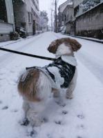 201303-2.jpg