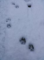 201303-3.jpg
