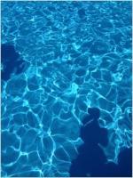 20130901-5.JPG