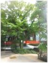20131001-4.JPG