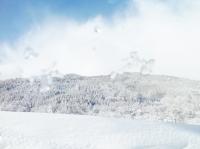 2月は関東地方でも大雪が2度もあり、本当
