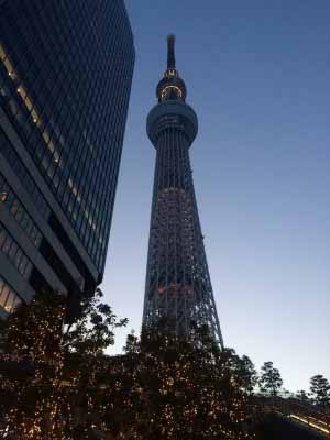 先日、家族でバレーボールFC東京の試合を