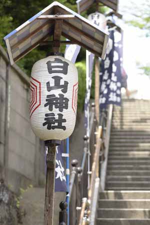 梅雨のあいまに都内で紫陽花の名所とされて