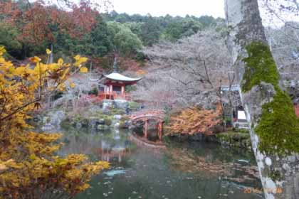 昨年秋、西国33寺の内10か所の寺を巡る