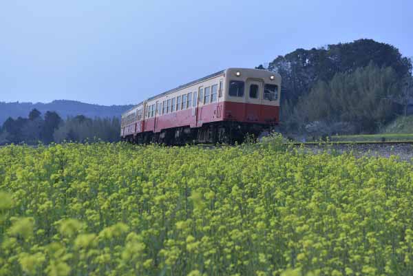 気がつけば、3月ももう終わり。

暖